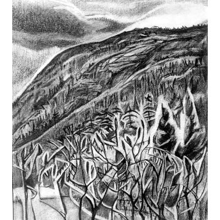 Mountain Side   |   charcoal, 10x8in, 1998