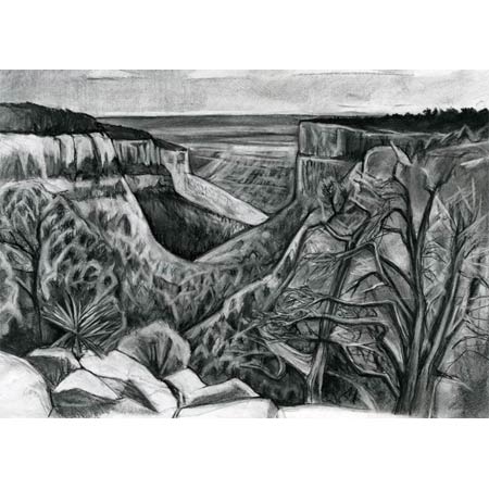 Fire Trees    |   charcoal/paper, 14x17in, 2008