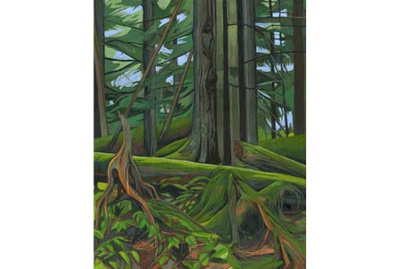 Rainforest       |       Oil/Canvas, 14x11in, 2014